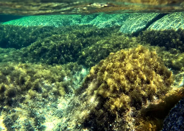 Cala Caterina 住宿加早餐酒店 4*