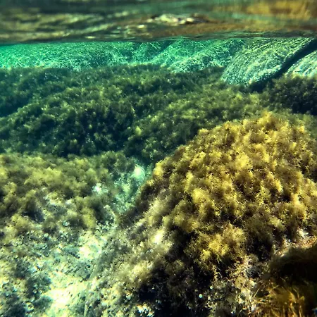 Cala Caterina Bed and breakfast 4*